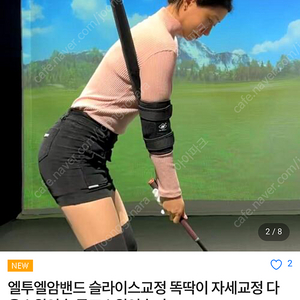 골프 스윙 연습기