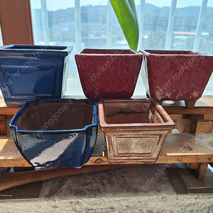 다육이화분,야생화화분