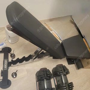 데드스루 벤치 & 플러그피트니스 중량 조절 40kg덤벨 팝니다