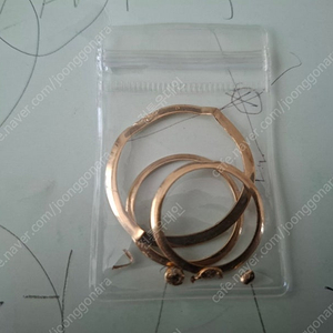 18k bezel & 18k crown