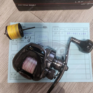 라이거30 5점 우핸 더블플랫