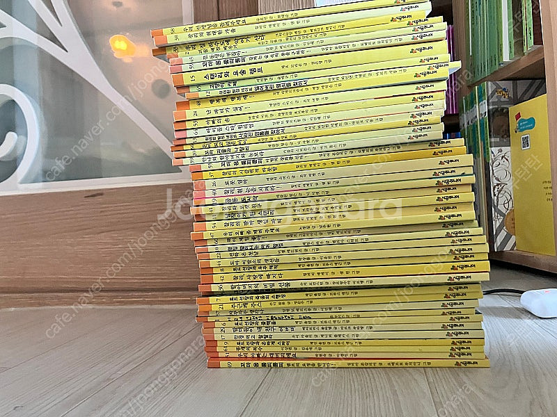 시공주니어 시공주니어문고 독서레벨 1단계 (65권/1번...--1