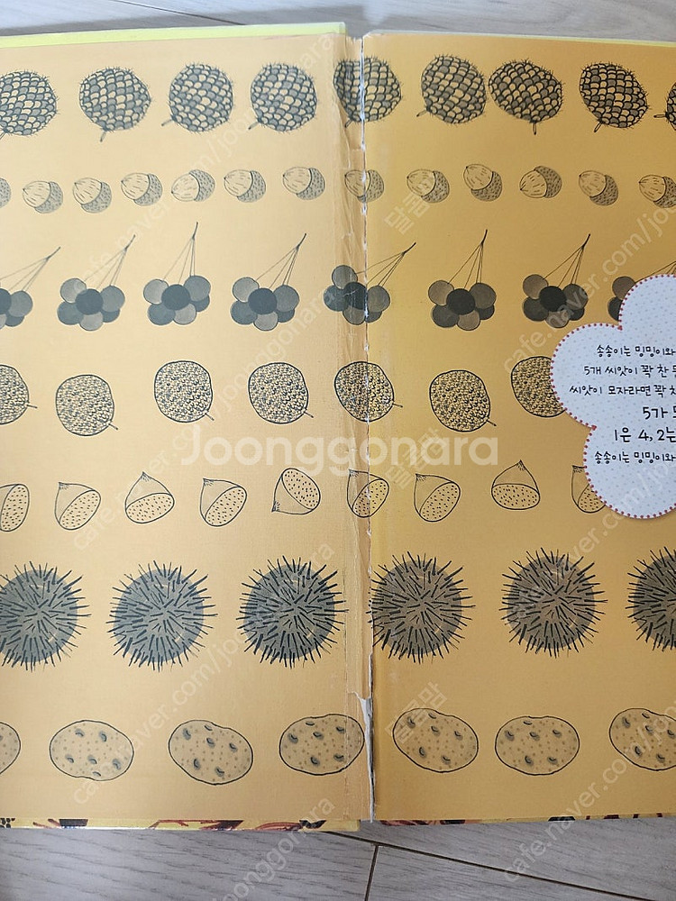 알파짱 수학동화 전권--1