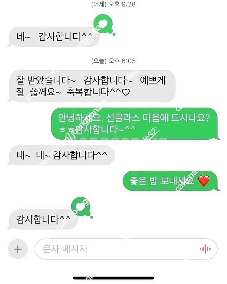 [새제품/병행수입] 셀린느 트리오페 선글라스 레오파드 ...--6