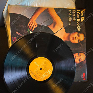 baccara lp