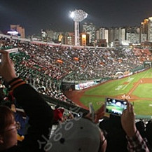 8/8(금) 롯데자이언츠v SK 야구티켓 연석 정가양도