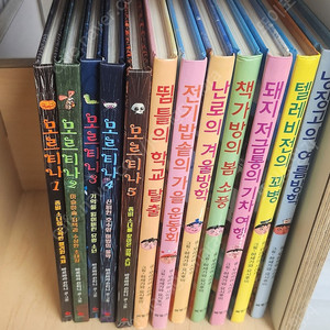 모르티나 외