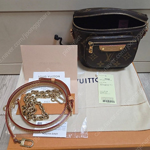 루이비통 미니범백