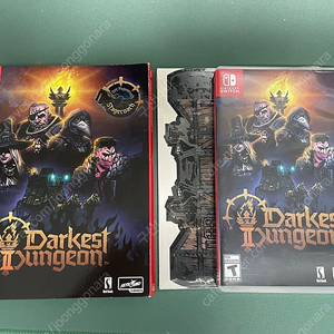 닌텐도 스위치 다키스트던전