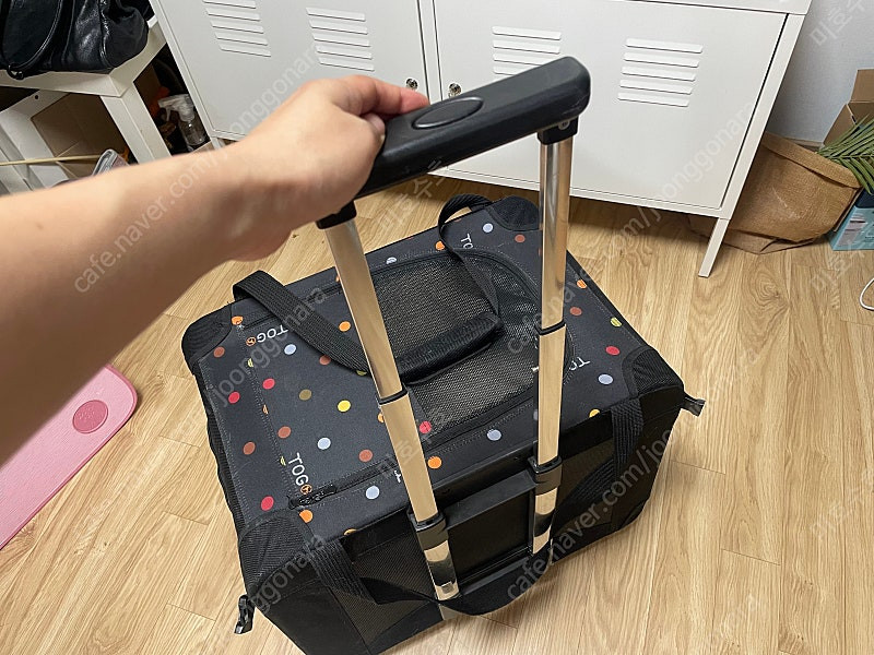 (할인) 토그핏 고양이 강아지 이동 캐리어 이동장--1