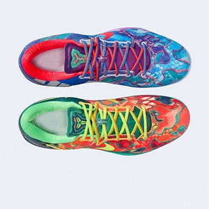 코비 8 프로트로 왓 더 코비 (GS) 250