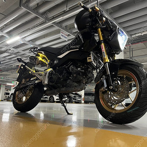 Msx125
