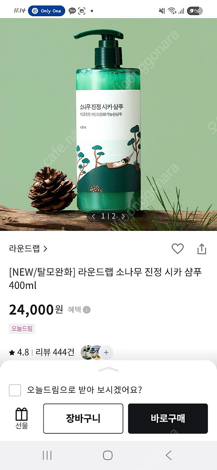 새상품) 라운드랩 소나무 진정 시카 샴푸 판매--2