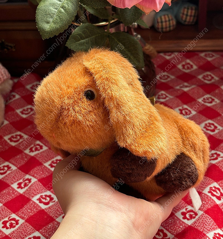 피너츠클럽) 일본빈티지인형 롭이어토끼 헤이세이레트로 고전인형 고전완구 빈티지소품 키덜트--3