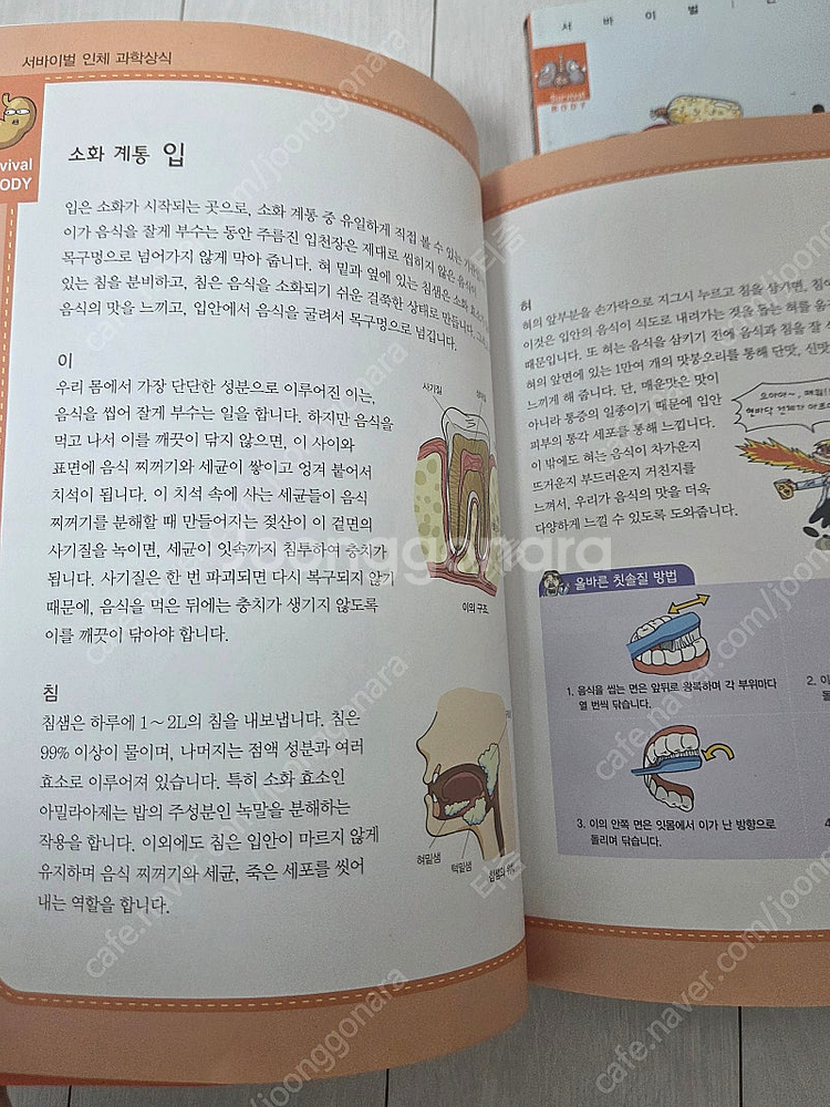 인체에서 살아남기 1-2세트 택포만원--2