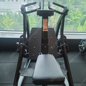 뉴텍 시티드 로우 엠토처