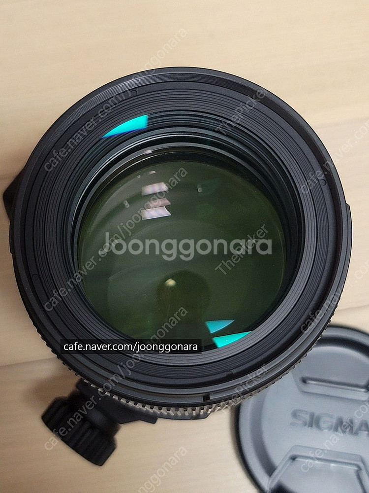 시그마 150마 macro 렌즈 (소니 알파)--2