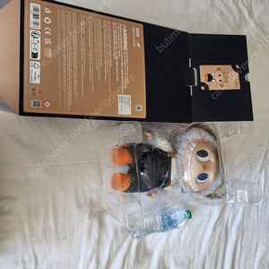 라부부 fall in wild (large)