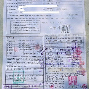 스타럭스 캠핑카