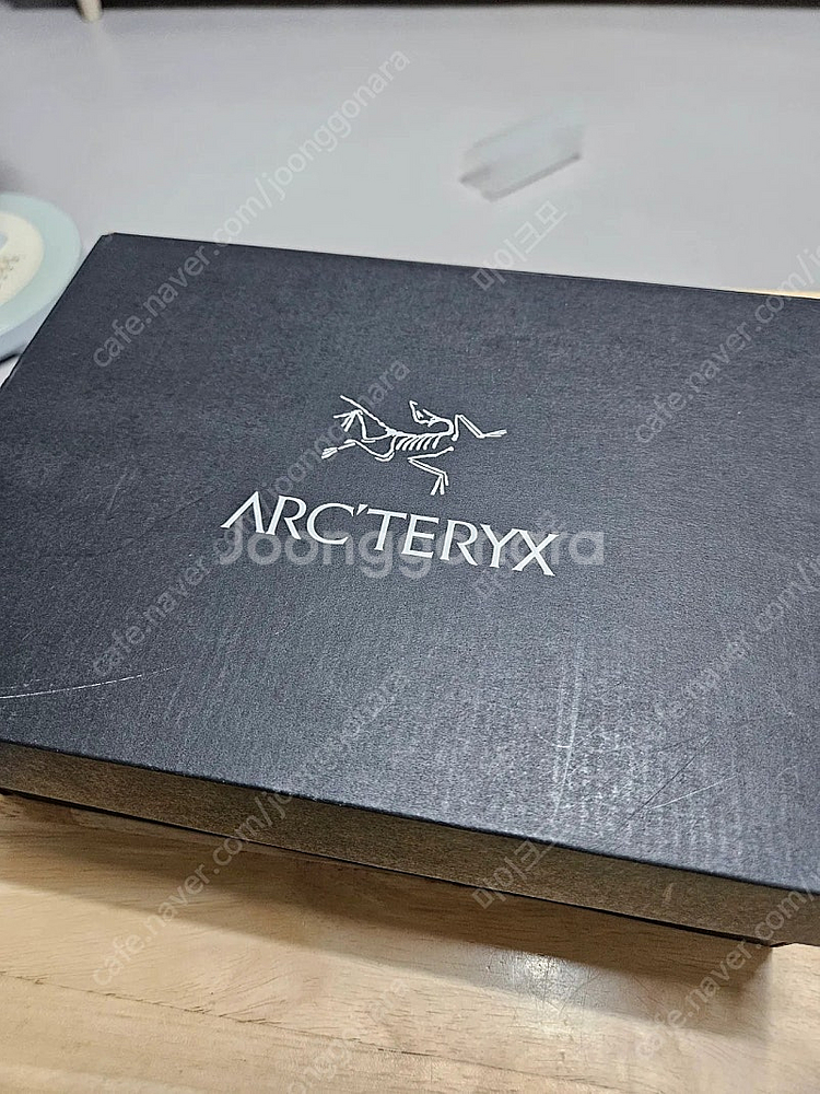 아크테릭스 등산화 에어리어스 GTX 240--1