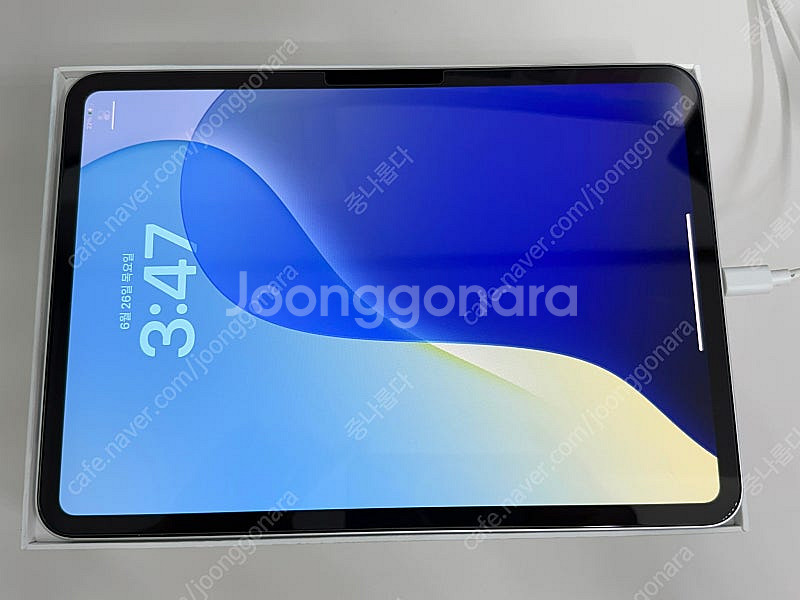 아이패드 프로 M4 11인치 256기가 와이파이 실버 ...--0