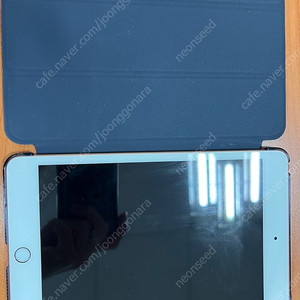 아이패드 미니 5세대 256 LTE