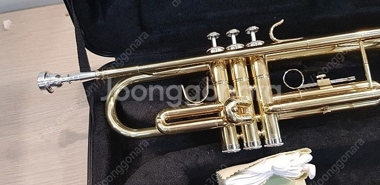 상태 좋은 트럼팻팝니다.--0