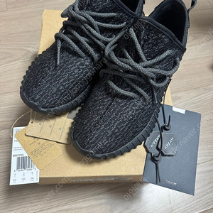 아디다스 이지 350 v1