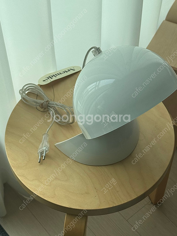아르떼미데 달루 화이트--0