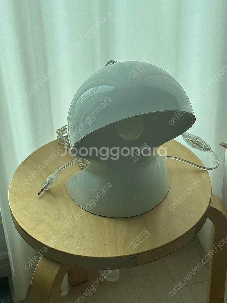 아르떼미데 달루 화이트--1