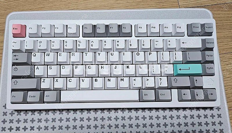 레이니 상옵 아이스화이트 (PP+FR4, 바이올렛축, ...--0