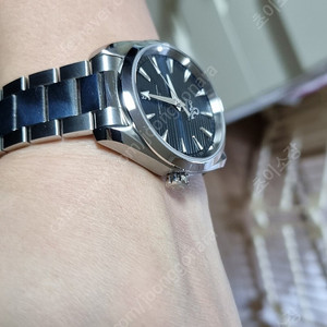 아쿠아테라 38mm 청판 가로줄 (백화점/풀박스)