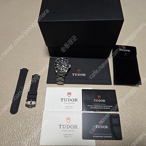 튜더 펠라고스39