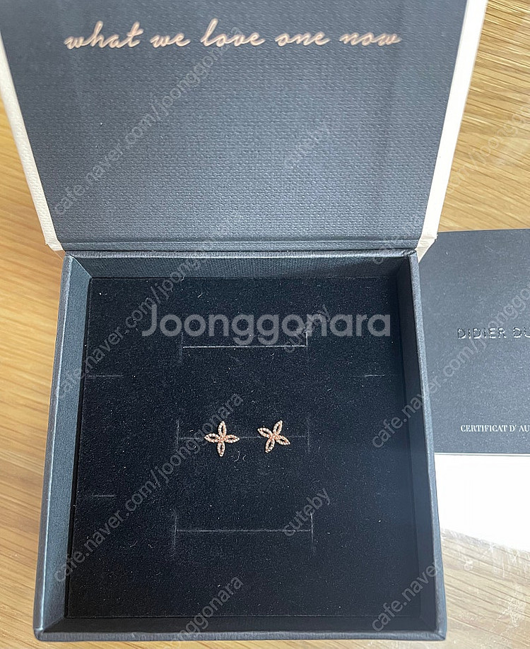 디디에두보 라디디 14K 골드 한쪽귀걸이 JDDERPF...--1