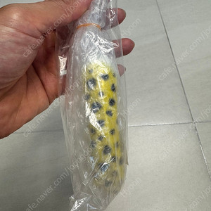나부라야 고양이손 릴리져
