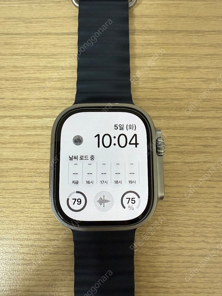 애플워치 울트라2 티타늄--0