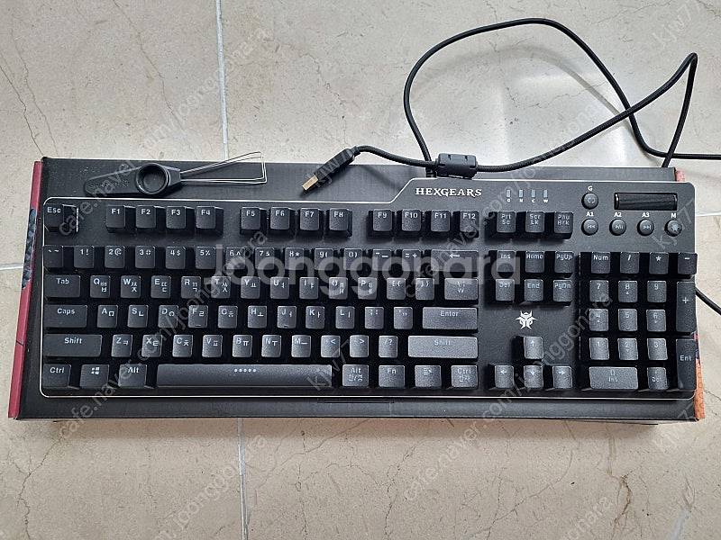 hexgears k840 stinger rgb 카일박스...--0