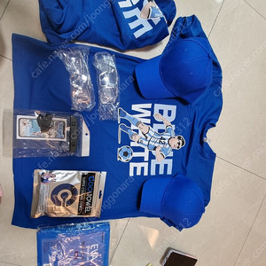 싸이 흠뻑쇼 (대구) 티켓 판매