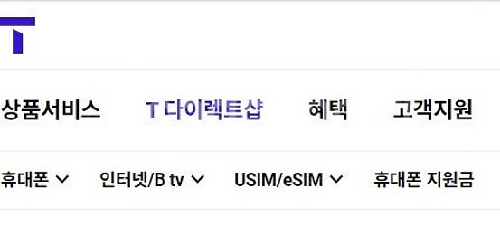 T다이렉트샵 이용권 10만원권 2개, 파리바게뜨 2만원...--0