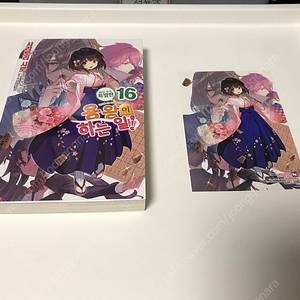 라노벨 라이트 노벨 소설 용왕이 하는 일 16권 초판 화집 부속 특별판 버전 판매합니다 (화집 X)