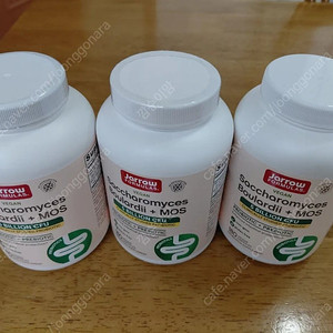 사카로미세스 보울라디 모스