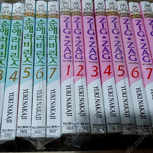 순애 라비린스 지그재그 순정만화