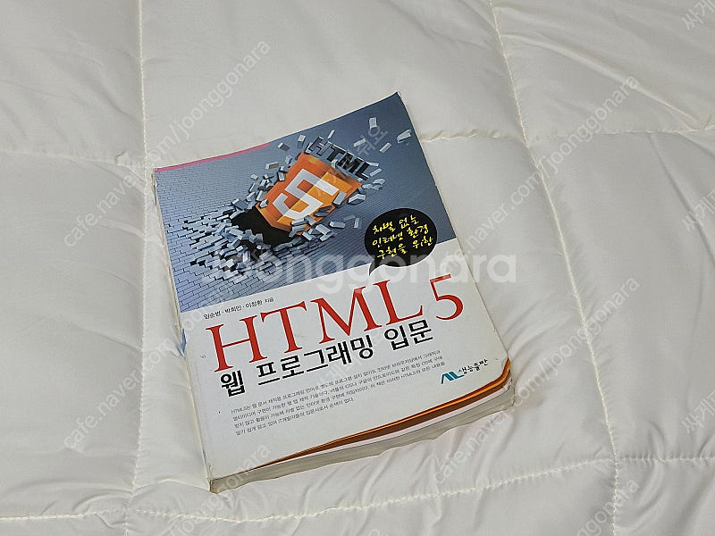 HTML5 웹 프로그래밍 입문 홈페이지 개발 책 생능 ...--0