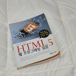 HTML5 웹 프로그래밍 입문 홈페이지 개발 책 생능 싸게팝니다