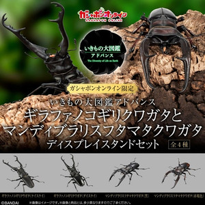 BANDAI(반다이), 생물대도감(어드벤스 사슴벌레 1탄), 만디블라리스 큰턱 사슴벌레(적갈색), 판매합니다.