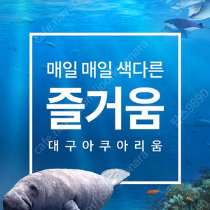 대구아쿠아리움 입장권