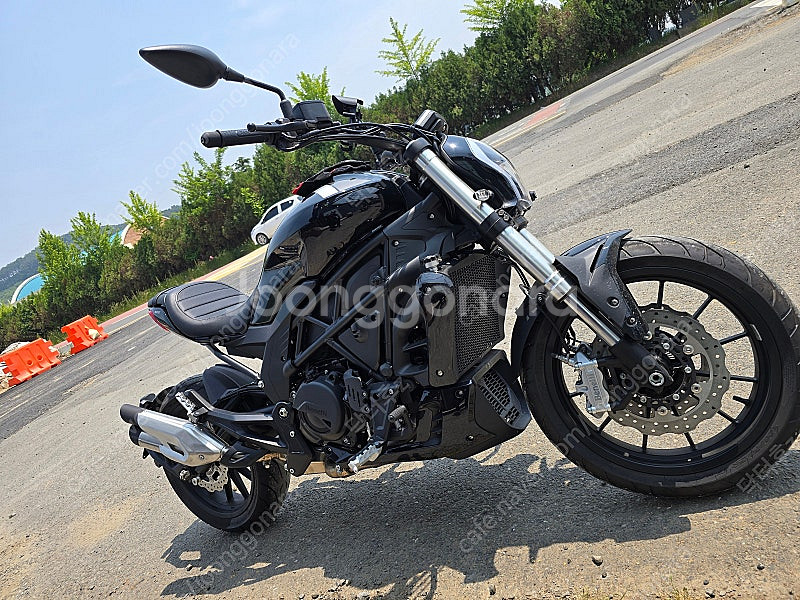 베넬리 502c 23년식 팝니다.--1