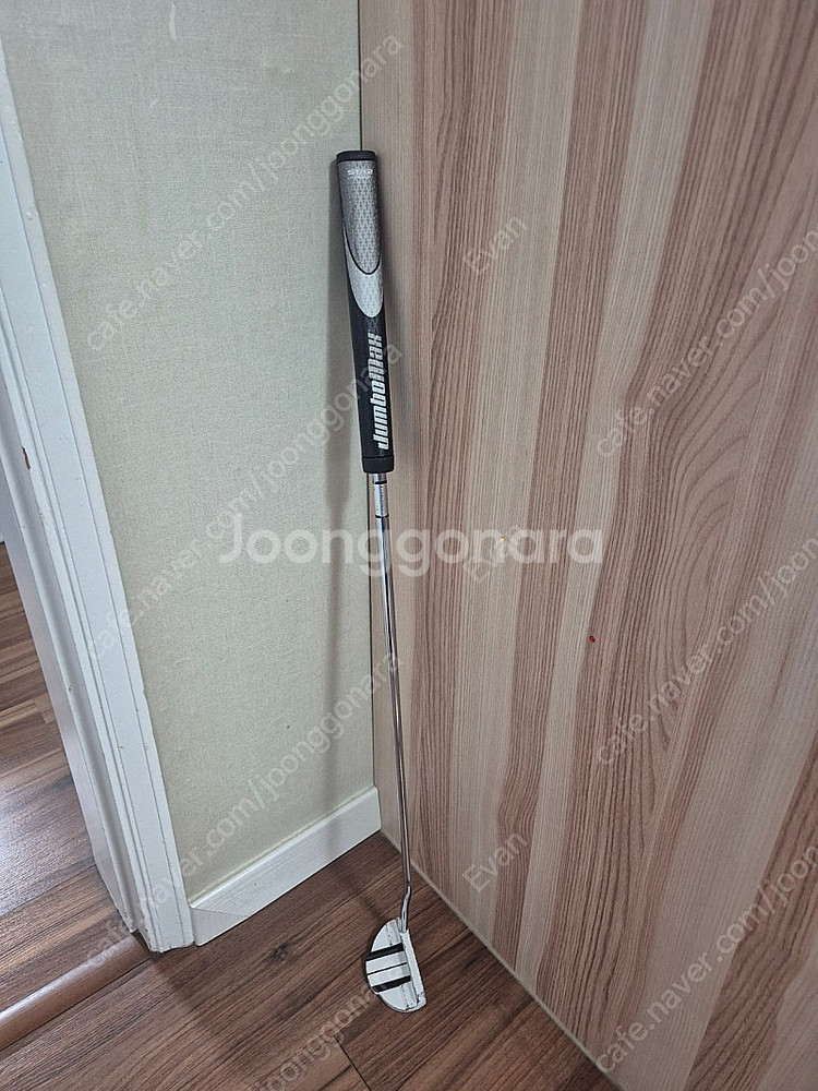 테일러메이드 고스트 퍼터 팔아요.--0