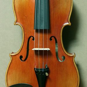 저먼 중급 바이올린 새악기