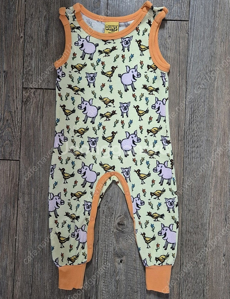 던스 돼지 덩가리 68--0